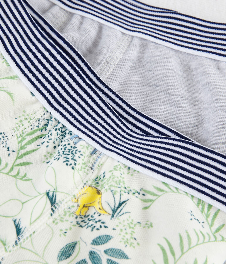 Unterw&auml;sche-Set f&uuml;r kleine Jungen vielfarbig