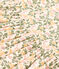 Kurzärmeliges Kleid mit Printmotiv aus Baumwolle für Kinder/Mädchen weiss AVALANCHE/ MULTICO