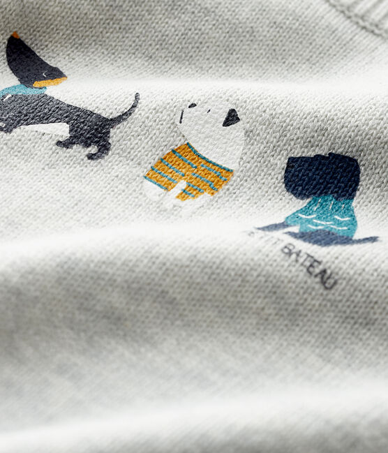 Baby-Pullover mit Muster für Jungen grau BELUGA CHINE