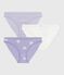 Set Damen-Slips aus Baumwolle variante 1