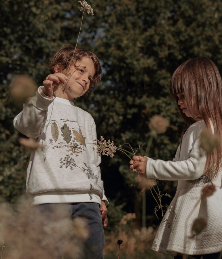 Kinder Sweatshirt Junge Petit Bateau x Deyrolle beige MONTELIMAR CHINE