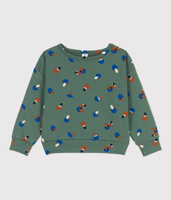 Bedrucktes Kinder-Sweatshirt aus Molton für Jungen grün VALLEE/naturfarben MULTICO