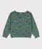 Bedrucktes Kinder-Sweatshirt aus Molton für Jungen grün VALLEE/naturfarben MULTICO