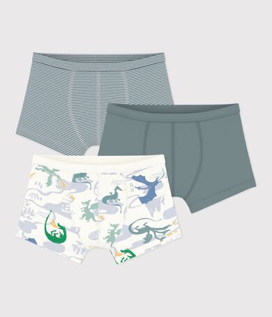 Set Kinder-Boxershorts mit &uuml;berzogenem Bund aus Baumwolle mit Drachenmotiv