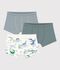 Set Kinder-Boxershorts mit &uuml;berzogenem Bund aus Baumwolle mit Drachenmotiv vielfarbig