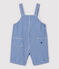 Kurze Baby-Latzhose aus Cotton Rich-Material für Jungen blau SURF/weiss MARSHMALLOW