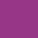 violett HIBISCUS